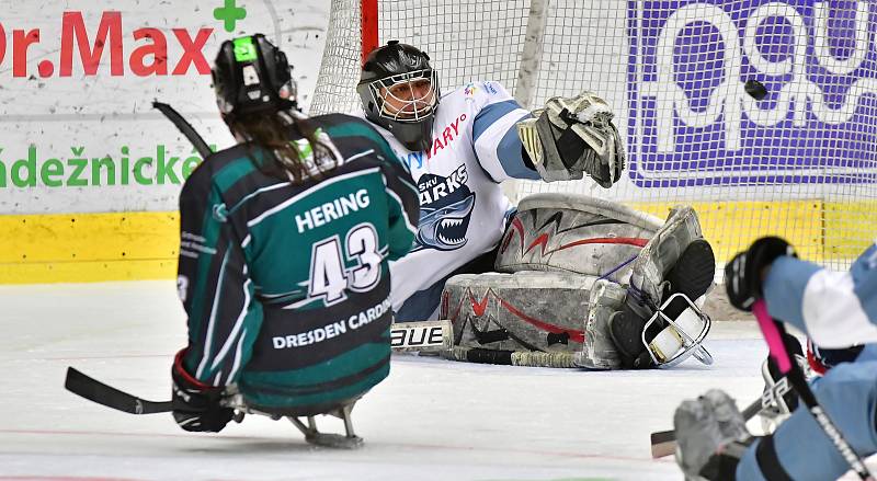 Již dva dny bojují v rámci I. ročníku Karlovy Vary Para Ice Hockey Tournament v lázeňském městě na ledě KV Areny o vítěznou trofej čtyři para hokejové výběry.