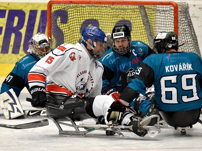 Hráči karlovarského SKV Sharks zvládli důležitý duel se SOHO Olomouckými Kohouty (ilustrační foto).