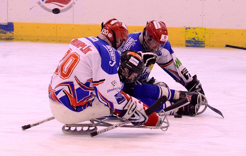 SKV Sharks K. Vary - České Budějovice 9:1.