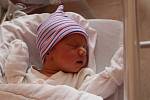 Dvojčata Josef a Anna Komárkovi se narodila 9. července 2021 ve Fakultní nemocnici v Plzni na Lochotíně mamince Martině a tatínkovi Josefovi z Tachova. Josífek se narodil v 11:47 hodin, vážil 2700 g a měřil 47 cm, Anička o minutu později, vážila 3100 g a 