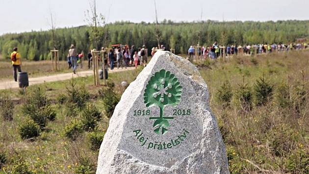 Alej Přátelství byla vysazena na břehu jezera Medard.