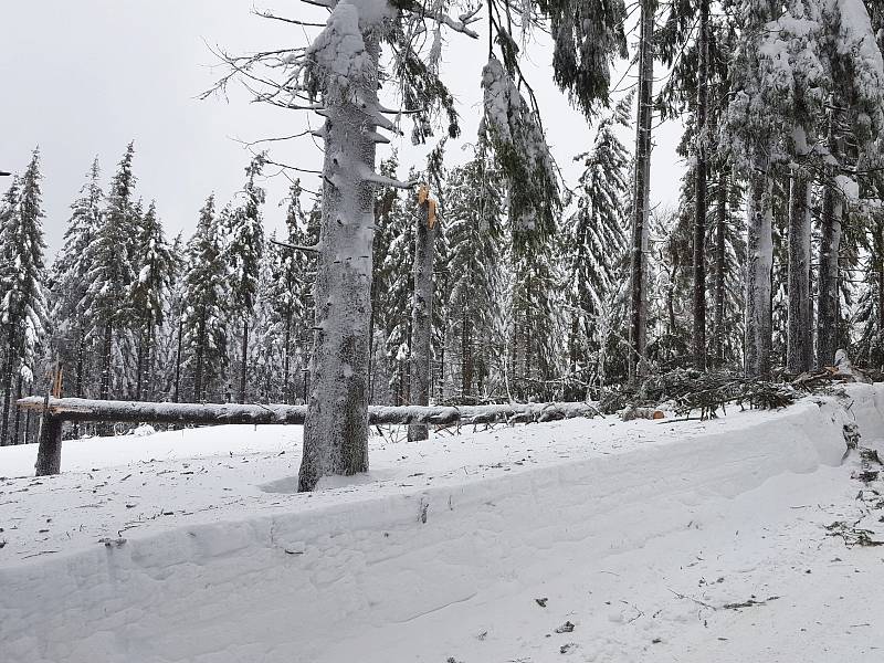 Situace v lesích je kvůli množství sněhu nebezpečná a nedoporučuje se do nich v některých lokalitách vstupovat.