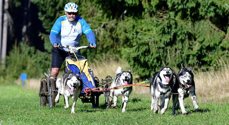 Abertamský sprint přilákal na start závodu devadesátku mašérů, kteří se představili v patnácti kategoriích. 