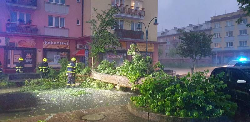 Popadané stromy odstraňovali v průběhu úterního večera a noci hasiči v Karlovarském kraji. Po večerní bouřce vyjížděli k celkem 36 událostem v souvislosti s počasím.