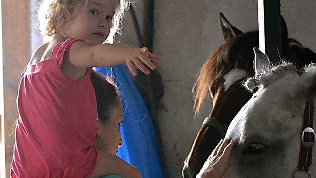 Letní skokové dny přilákaly malé i velké milovníky koní
