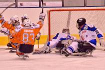Sledge hokej, semifinále: SKV Sharks K. Vary - Lapp Zlín 0:4.