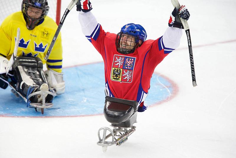 Paralympiáda: Česko - Švédsko 2:1 po sn