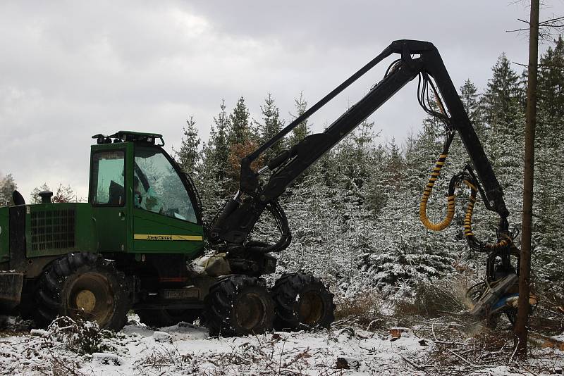 Harvestory jsou velkými pomocníky i Lázeňských lesů. Nyní zpracovávají kalamitu poblíž policejní střelnice nad Hubertusem.