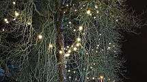 Letošní vánoční trhy v Karlových Varech spojuje opět s hotelem Thermalem světelná promenáda.