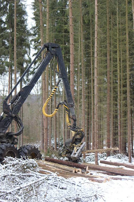 Harvestory jsou velkými pomocníky i Lázeňských lesů. Nyní zpracovávají kalamitu poblíž policejní střelnice nad Hubertusem.