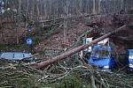 Auta poškozená stromy v Karlových Varech a ve Františkových Lázních.