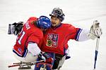 Paralympiáda, Soči: Česko - Korea 2:0.