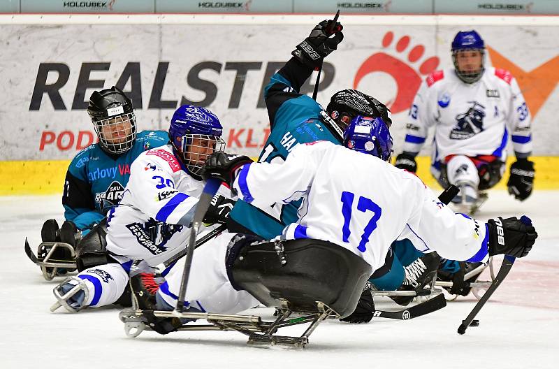 Dvě výhry během víkendu slavili v domácím prostředí para hokejisté SKV Sharks Karlovy Vary, kteří zdolali Havířov i Zlín.