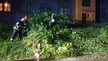 Popadané stromy odstraňovali v průběhu úterního večera a noci hasiči v Karlovarském kraji. Po večerní bouřce vyjížděli k celkem 36 událostem v souvislosti s počasím.