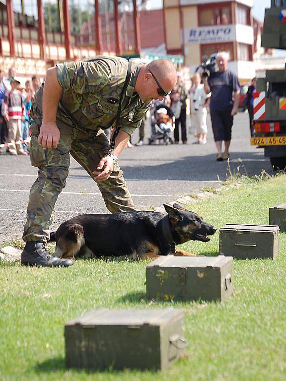 Ukázka vojenské techniky na závodišti ve Dvorech. Návštěvníkům se představila jednotka ženijní brigády. Poté předvedli svůj program také policisté či hasiši.