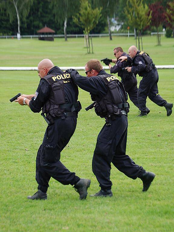 Ukázka vojenské techniky na závodišti ve Dvorech. Návštěvníkům se představila jednotka ženijní brigády. Poté předvedli svůj program také policisté či hasiši.