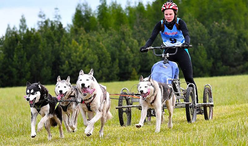 Siberian Husky víkend 2019