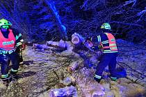Karlovarský kraj zasáhla v noci na neděli další kalamita. Kvůli těžkému sněhu opět padaly stromy, hasiči vyjeli v noci ke čtyřiceti zásahům.