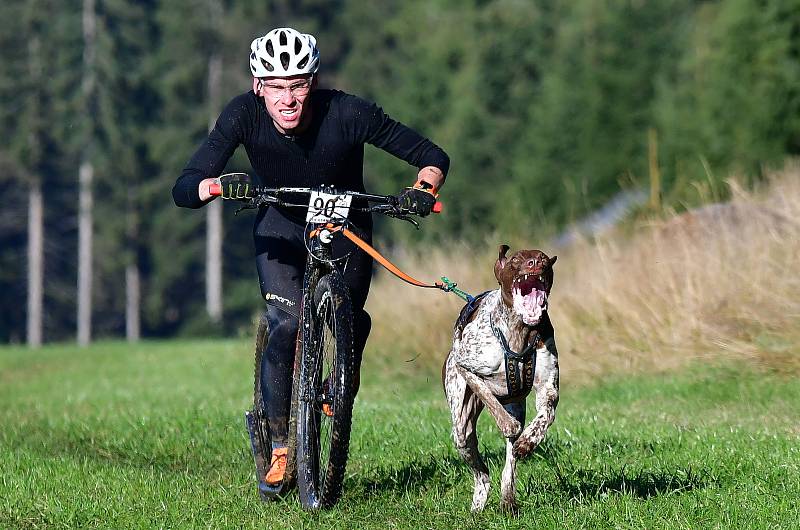 Abertamský sprint přilákal na start závodu devadesátku mašérů, kteří se představili v patnácti kategoriích. 