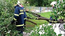Nárazový vítr a silný déšť vyvracely stromy na Sokolovsku. Hasiči vyjeli v kraji hned ke dvanácti případům. Škody jsou minimální.