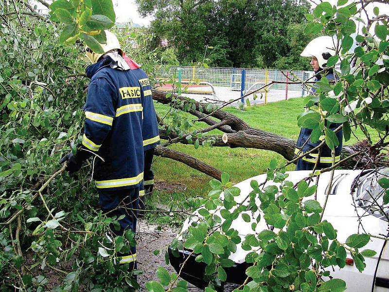 Nárazový vítr a silný déšť vyvracely stromy na Sokolovsku. Hasiči vyjeli v kraji hned ke dvanácti případům. Škody jsou minimální.