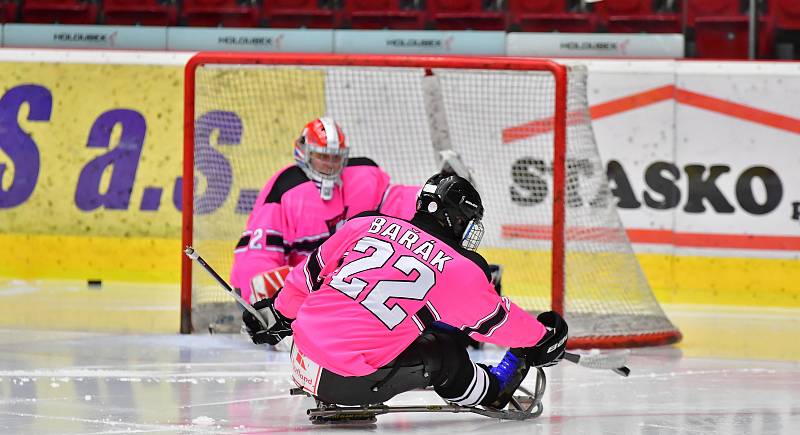 Již dva dny bojují v rámci I. ročníku Karlovy Vary Para Ice Hockey Tournament v lázeňském městě na ledě KV Areny o vítěznou trofej čtyři para hokejové výběry.