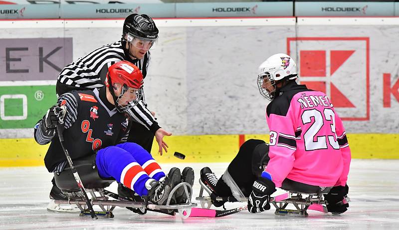 Již dva dny bojují v rámci I. ročníku Karlovy Vary Para Ice Hockey Tournament v lázeňském městě na ledě KV Areny o vítěznou trofej čtyři para hokejové výběry.