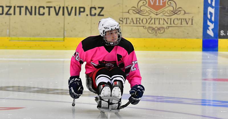 Již dva dny bojují v rámci I. ročníku Karlovy Vary Para Ice Hockey Tournament v lázeňském městě na ledě KV Areny o vítěznou trofej čtyři para hokejové výběry.