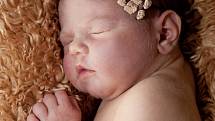 Elizabeth Sattler ze Smolných Pecí se narodila 4. 12. 2012   