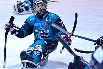 Sledge hokejistům SKV Sharks Karlovy Vary se v novém ročníku zatím příliš nedaří.