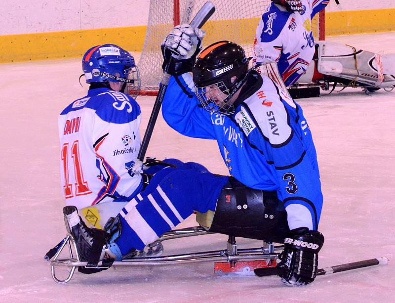 SKV Sharks K. Vary - České Budějovice 9:1.