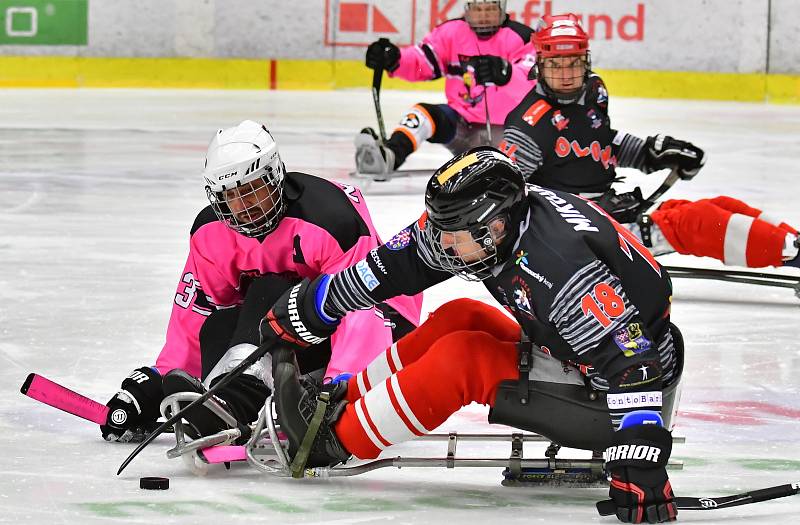 Již dva dny bojují v rámci I. ročníku Karlovy Vary Para Ice Hockey Tournament v lázeňském městě na ledě KV Areny o vítěznou trofej čtyři para hokejové výběry.