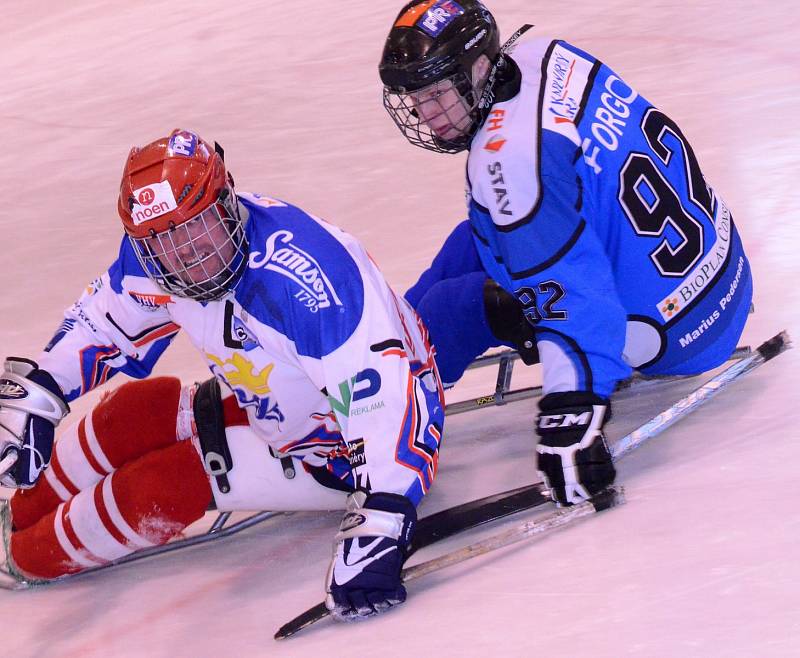 SKV Sharks K. Vary - České Budějovice 9:1.