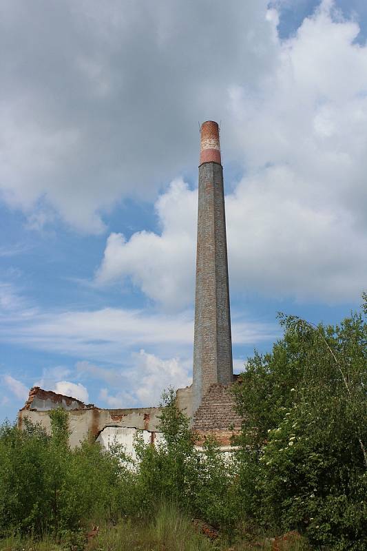 Redaktoři Deníku prošli bývalý areál pivovaru. Je plný odpadků, ale i potřeb pro narkomany. V odstavených kamionech bydlí bezdomovci.