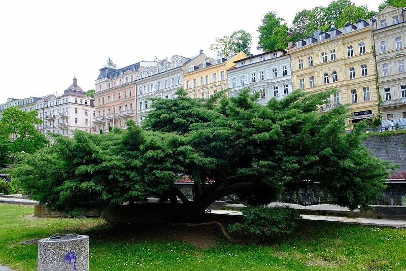 Podívejte se, jak lázeňské město zachytila na svůj fotoaparát studentka.