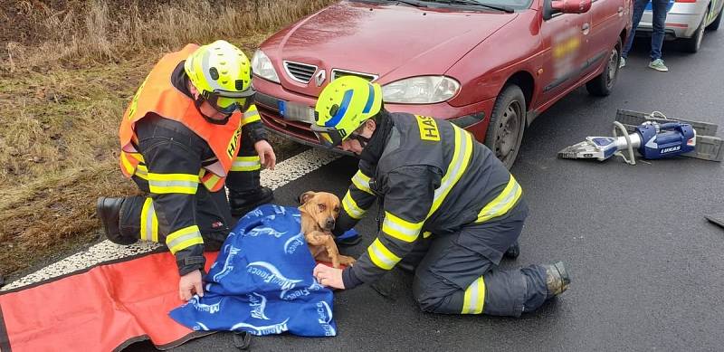 Pod vozem zaklíněného psa vyprostili hasiči, nadzvedli auto