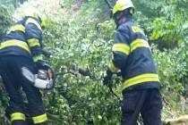 Hasiči likvidovali strom, který spadl asi 150 metrů od spodní stanice lanovky na Dianu.