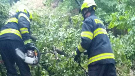 Hasiči likvidovali strom, který spadl asi 150 metrů od spodní stanice lanovky na Dianu.