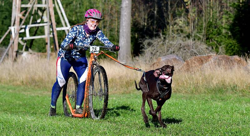 Abertamský sprint přilákal na start závodu devadesátku mašérů, kteří se představili v patnácti kategoriích.