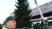 Usazování vánočního stromu před hotelem Thermal.