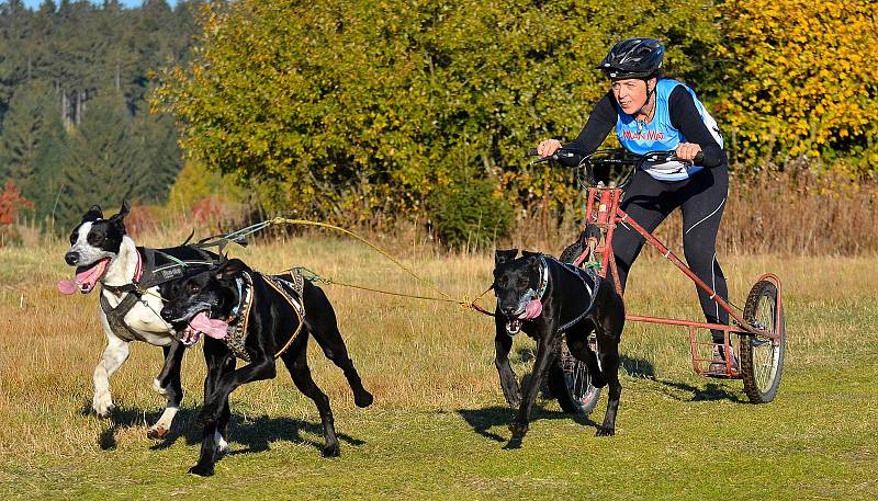 ABERTAMSKÝ SPRINT – MEMORIÁL JAROSLAVA SVOBODY. Po dva víkendové dny se v Abertamech a jejich okolí proháněla v rámci nominačního závodu na mistrovství Evropy stovka mašérů, která bojovala o účast na blížící se Evropě.