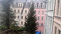 Vánoční strom byl vloni z Moravské ulice. Odkud bude letos?