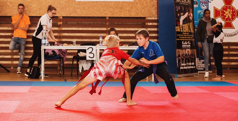 Devatenáct cenných kovů vybojovali na mistrovství republiky v Mostě na úvod sezony bojovníci v barvách Samurai Fight Clubu.