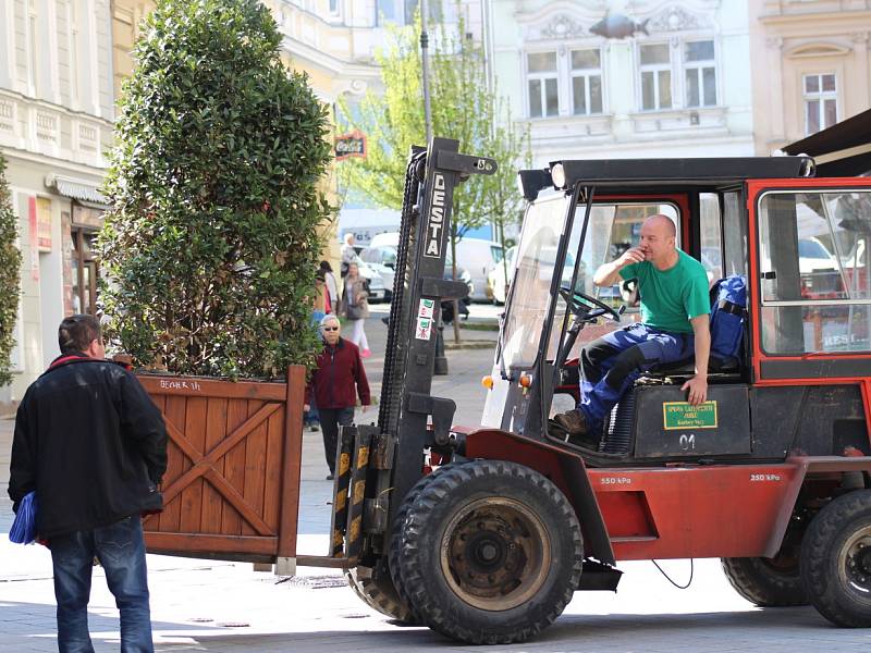 ZELEŇ DO ULIC. Karlovy Vary ještě před zahájením lázeňské sezony zkrášlily desítky keřů, stromů a další zeleně.