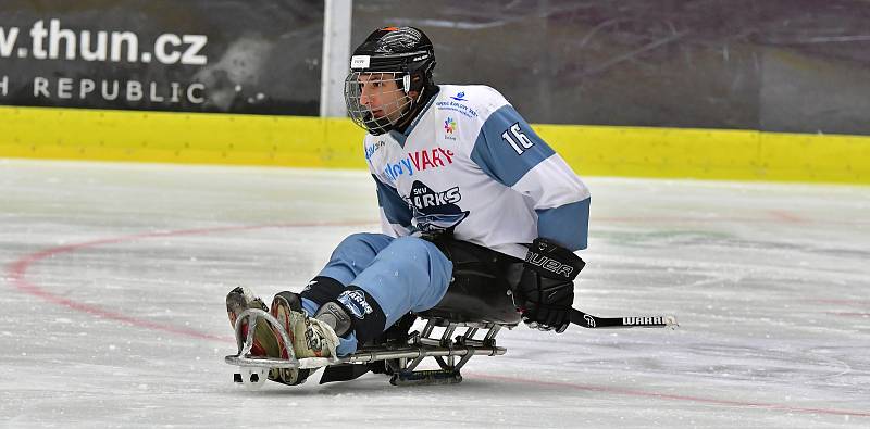 Karlovy Vary Para Ice Hockey Tournament.