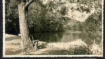 Dobové fotografie Bečovské botanické zahrady.