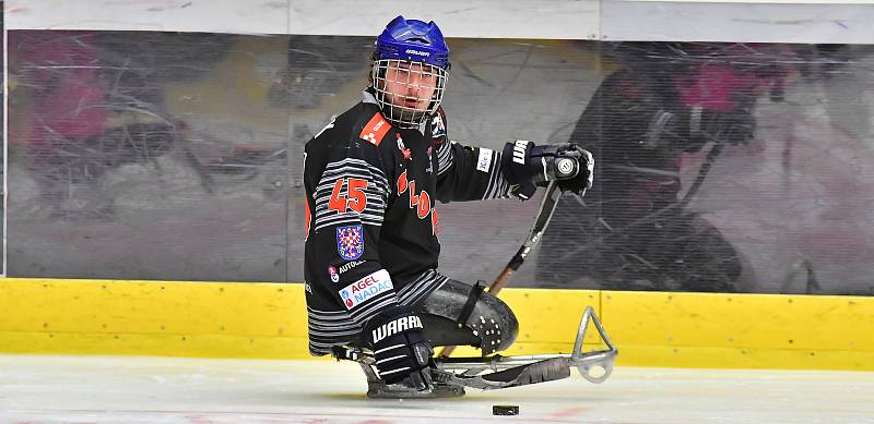 Již dva dny bojují v rámci I. ročníku Karlovy Vary Para Ice Hockey Tournament v lázeňském městě na ledě KV Areny o vítěznou trofej čtyři para hokejové výběry.