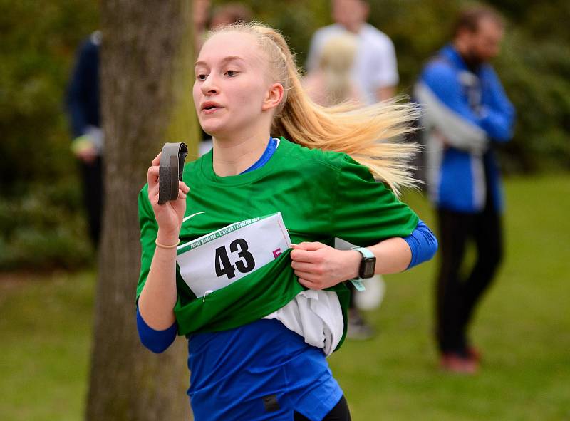 Semifinálové kolo juniorského maratonu opět ovládlo Gymnázium Cheb, které se tak podívá na celostátní finále.