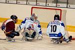 Sledge hokej: SKV Sharks - Sparta Praha 2:0
