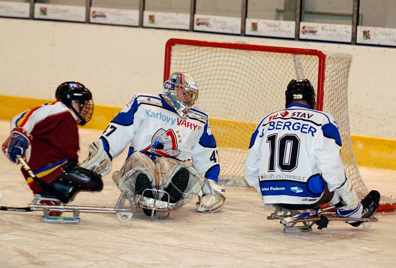 Sledge hokej: SKV Sharks - Sparta Praha 2:0